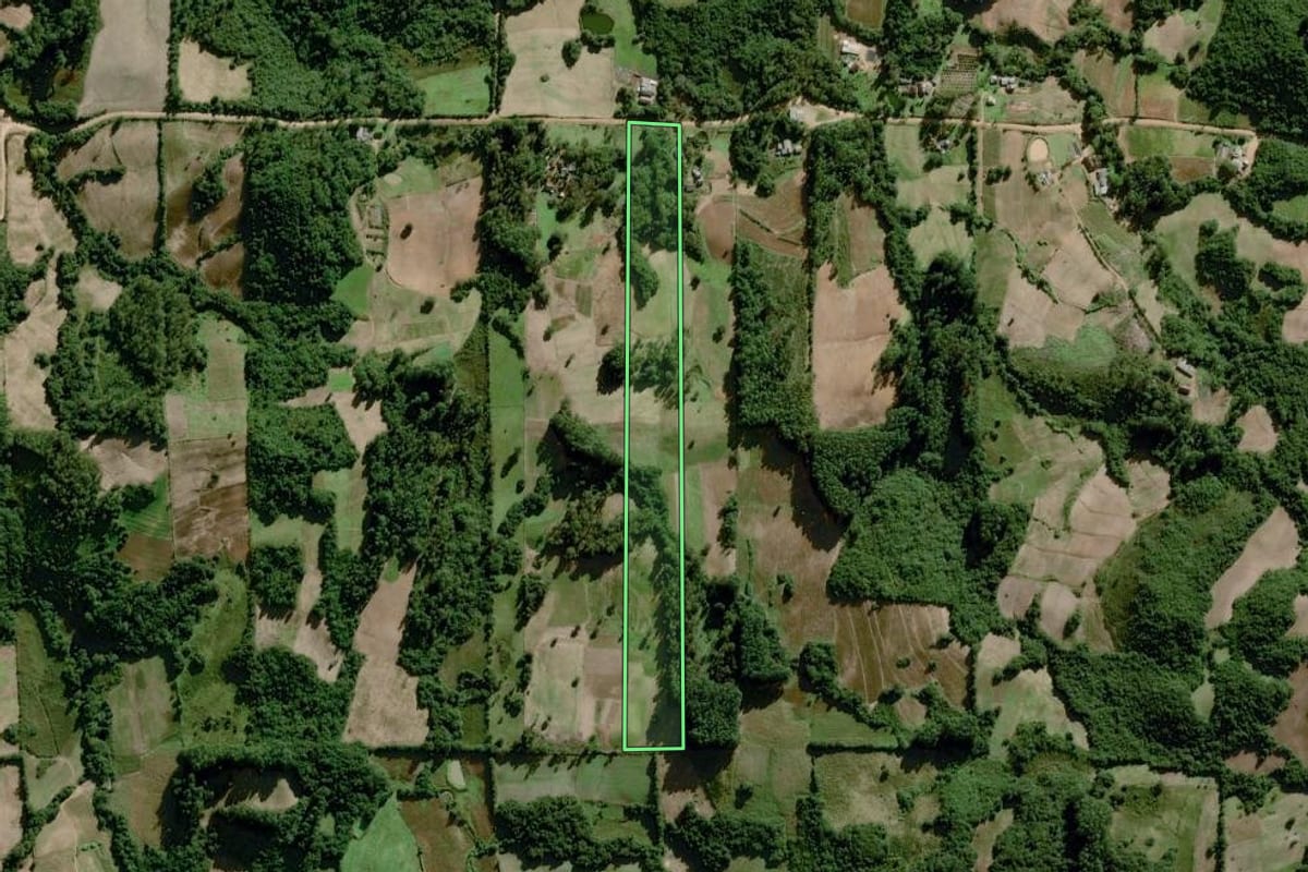 Imagem de satélite do imóvel rural em Dom Feliciano (RS), com o contorno declarado no CAR desenhado por cima.
