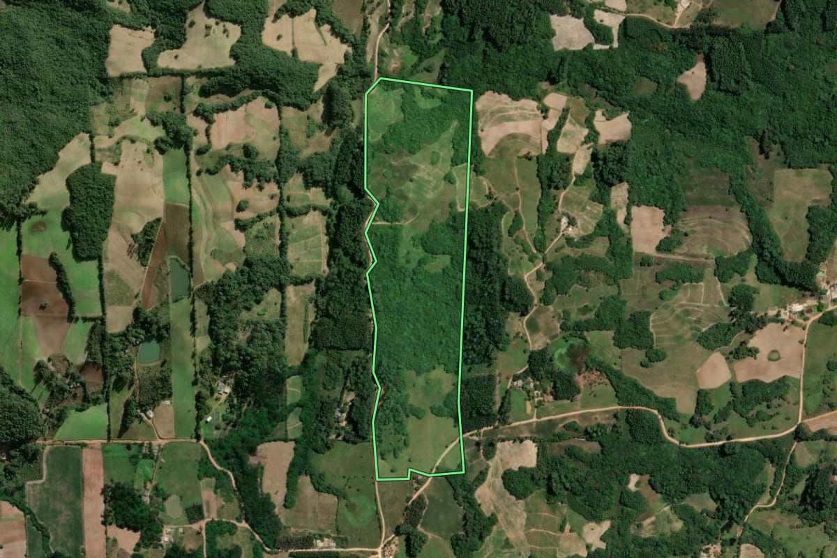 Imagem de satélite do imóvel rural em Dom Feliciano (RS), com o contorno declarado no CAR desenhado por cima.