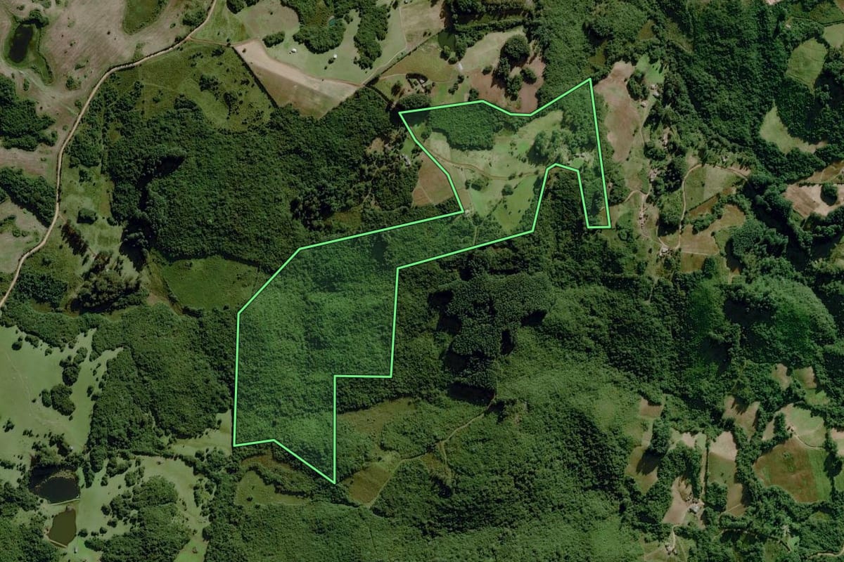 Imagem de satélite do imóvel rural em Dom Feliciano (RS), com o contorno declarado no CAR desenhado por cima.