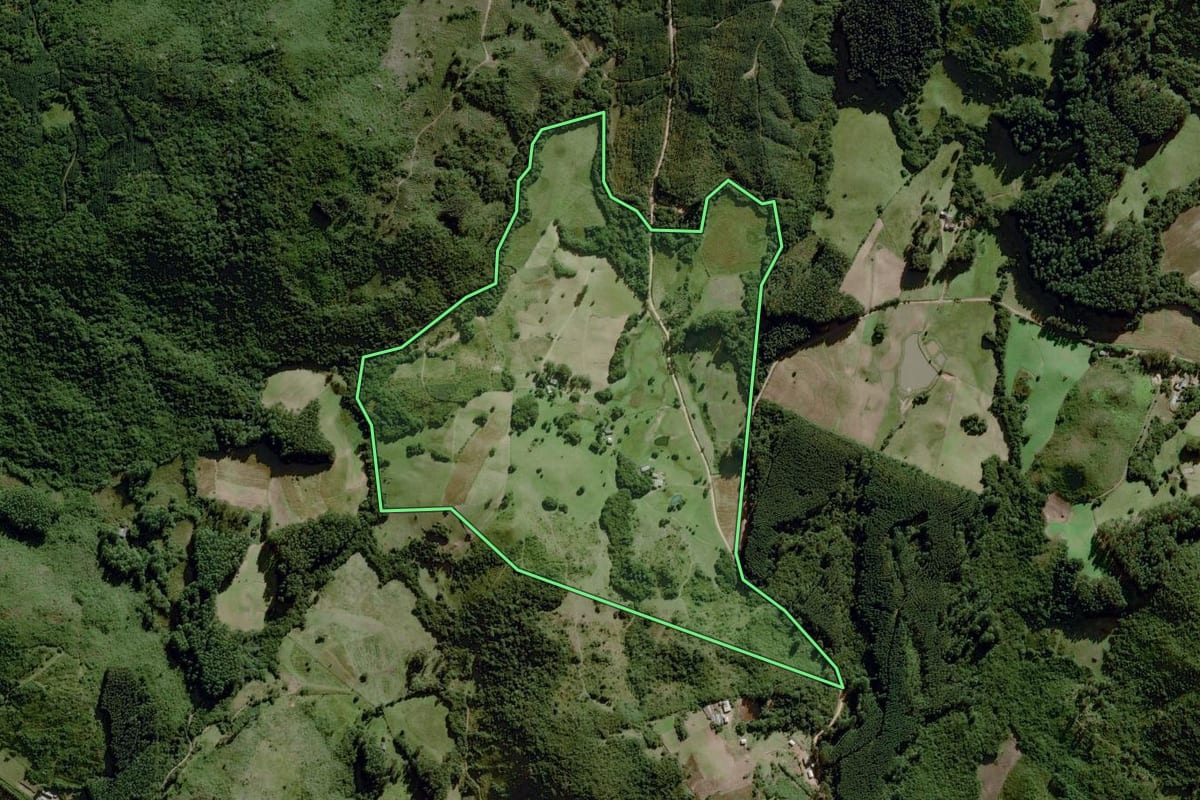 Imagem de satélite do imóvel rural em Dom Feliciano (RS), com o contorno declarado no CAR desenhado por cima.