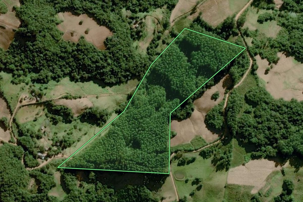 Imagem de satélite do imóvel rural em Dom Feliciano (RS), com o contorno declarado no CAR desenhado por cima.