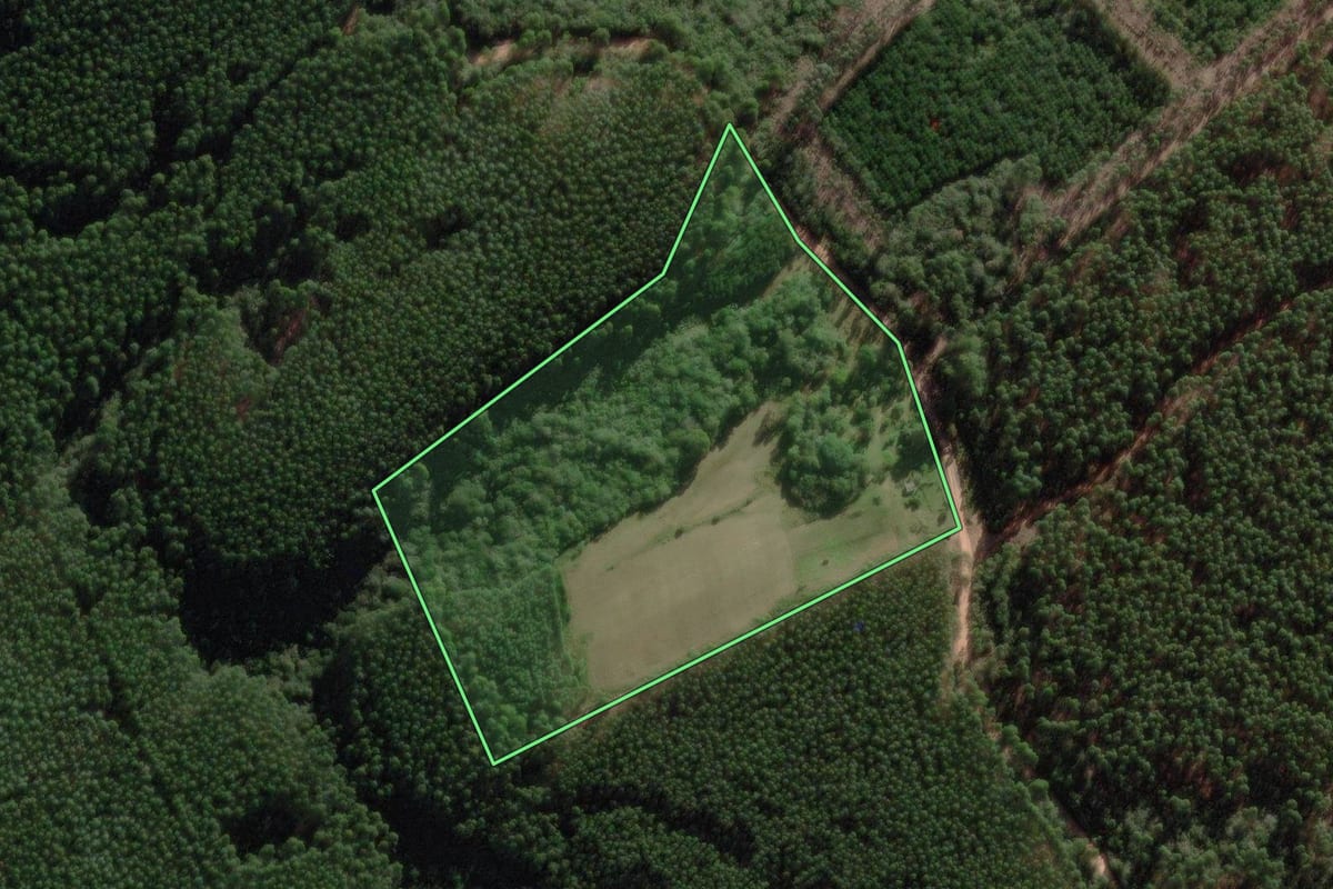 Imagem de satélite do imóvel rural em Dom Feliciano (RS), com o contorno declarado no CAR desenhado por cima.