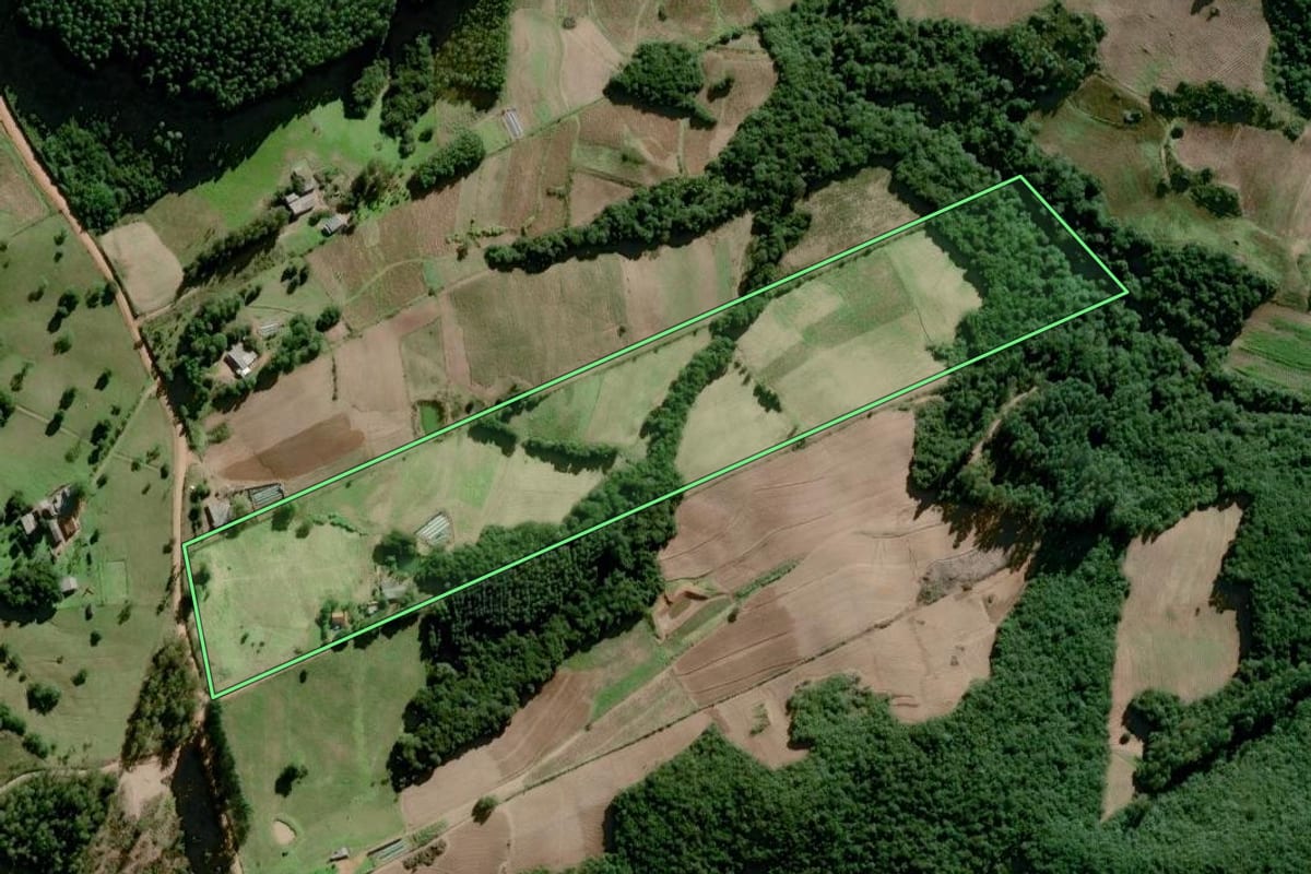 Imagem de satélite do imóvel rural em Dom Feliciano (RS), com o contorno declarado no CAR desenhado por cima.