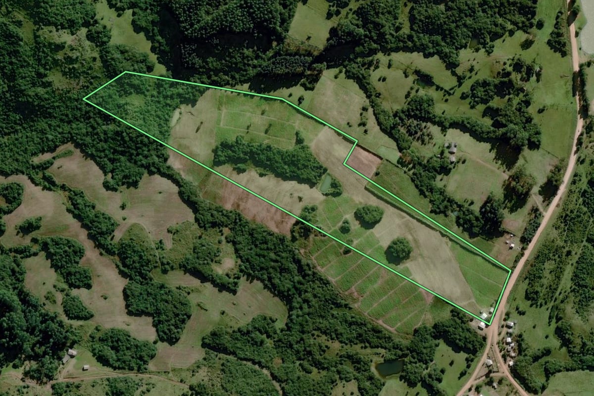 Imagem de satélite do imóvel rural em Dom Feliciano (RS), com o contorno declarado no CAR desenhado por cima.