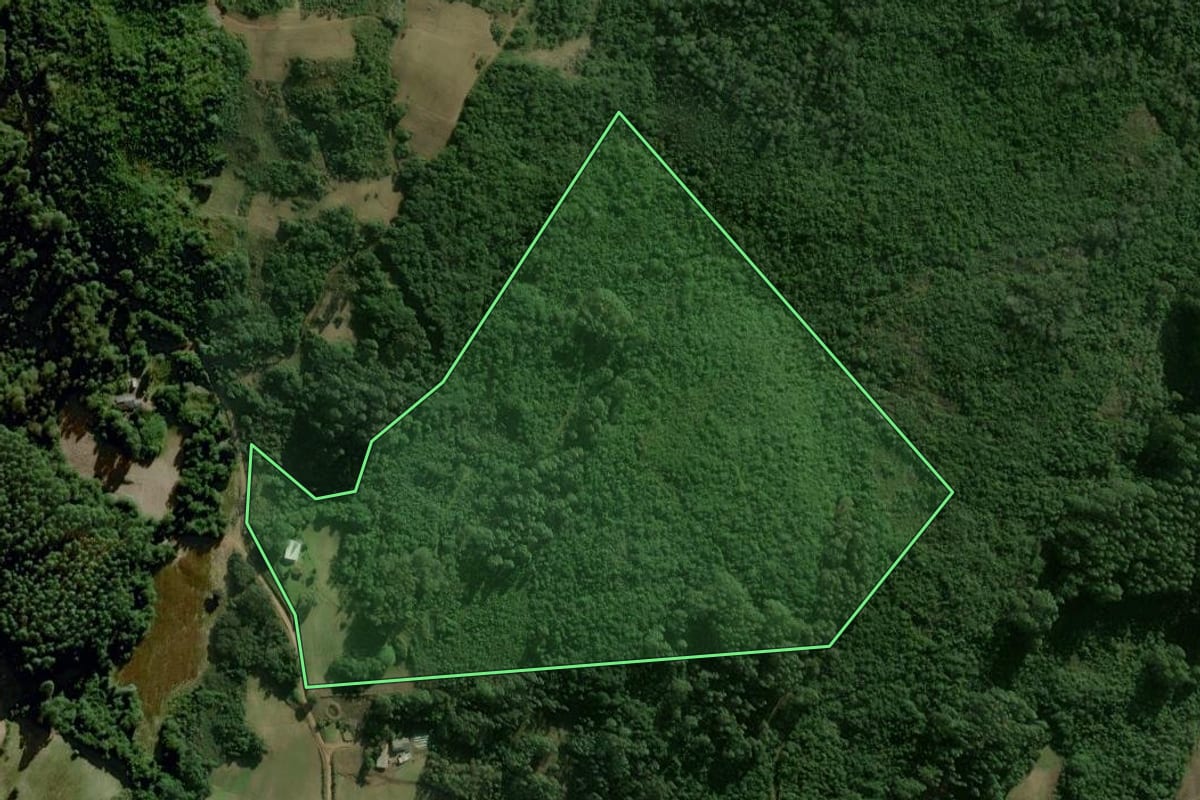 Imagem de satélite do imóvel rural em Dom Feliciano (RS), com o contorno declarado no CAR desenhado por cima.
