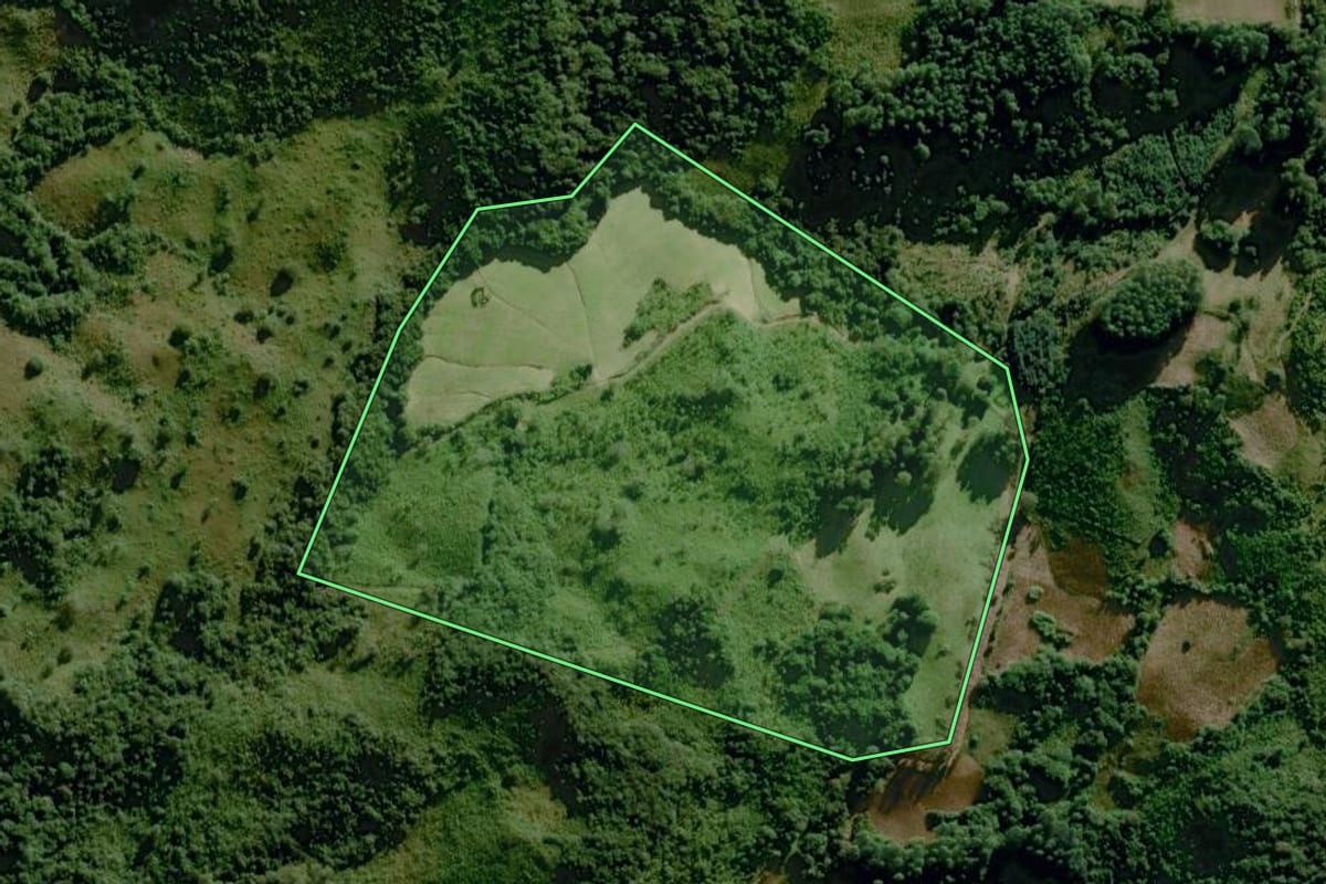 Imagem de satélite do imóvel rural em Dom Feliciano (RS), com o contorno declarado no CAR desenhado por cima.