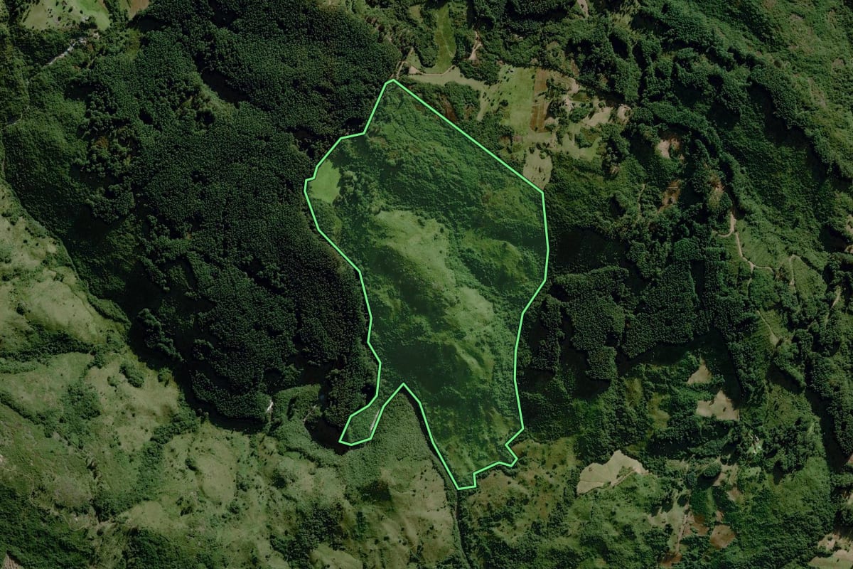 Imagem de satélite do imóvel rural em Dom Feliciano (RS), com o contorno declarado no CAR desenhado por cima.
