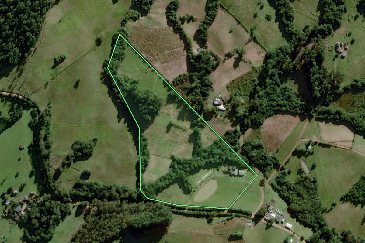 Imagem de satélite do imóvel rural em Dom Feliciano (RS), com o contorno declarado no CAR desenhado por cima.
