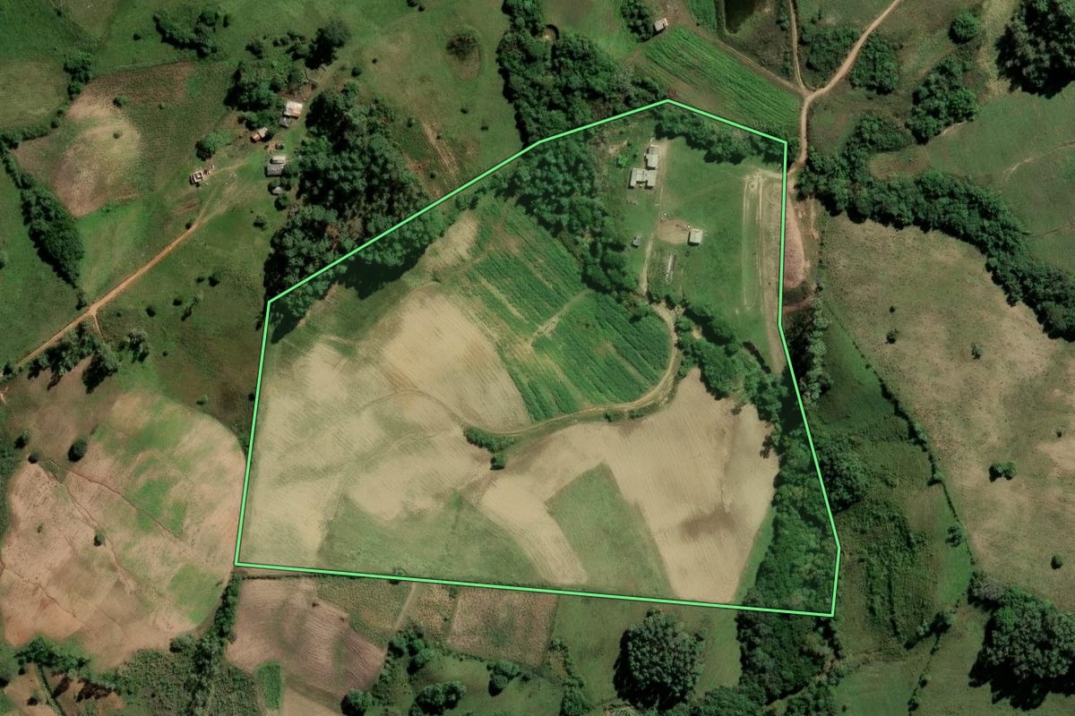 Imagem de satélite do imóvel rural em Dom Feliciano (RS), com o contorno declarado no CAR desenhado por cima.