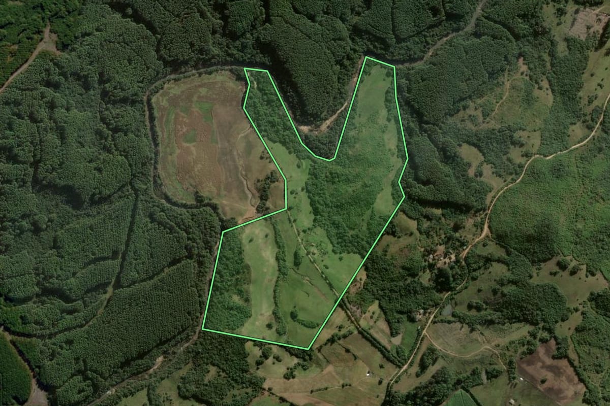 Imagem de satélite do imóvel rural em Dom Feliciano (RS), com o contorno declarado no CAR desenhado por cima.