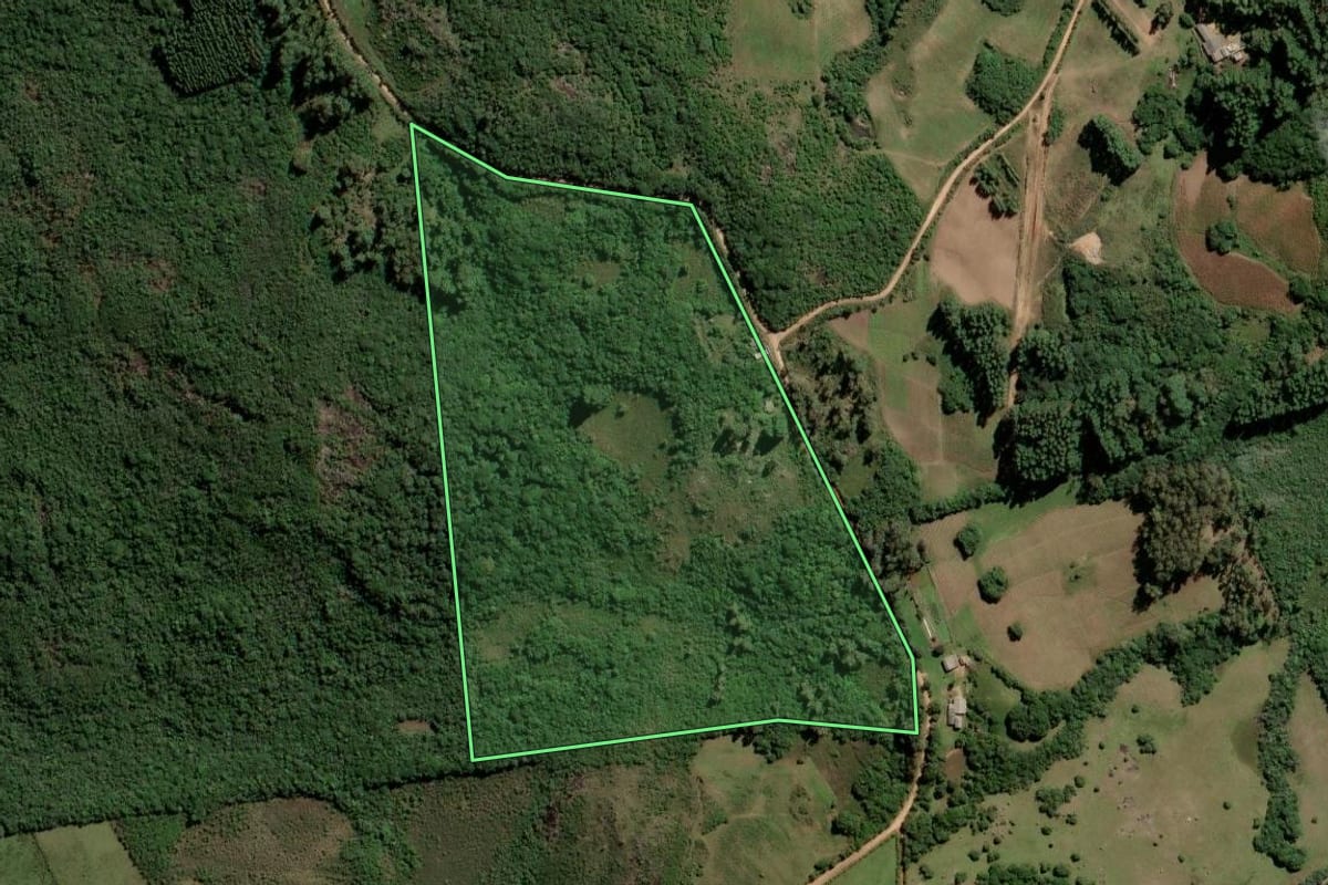 Imagem de satélite do imóvel rural em Dom Feliciano (RS), com o contorno declarado no CAR desenhado por cima.