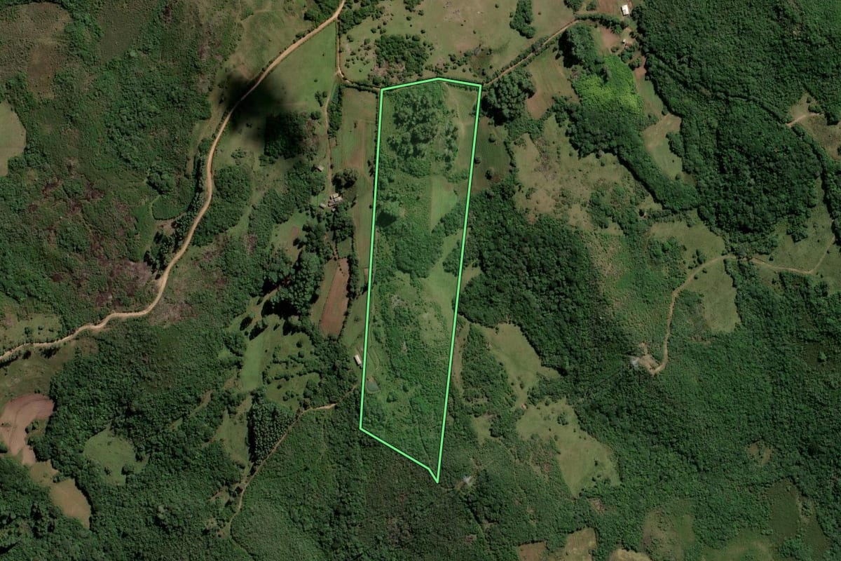 Imagem de satélite do imóvel rural em Dom Feliciano (RS), com o contorno declarado no CAR desenhado por cima.