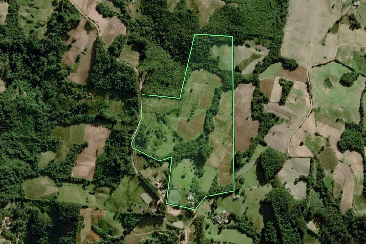 Imagem de satélite do imóvel rural em Dom Feliciano (RS), com o contorno declarado no CAR desenhado por cima.