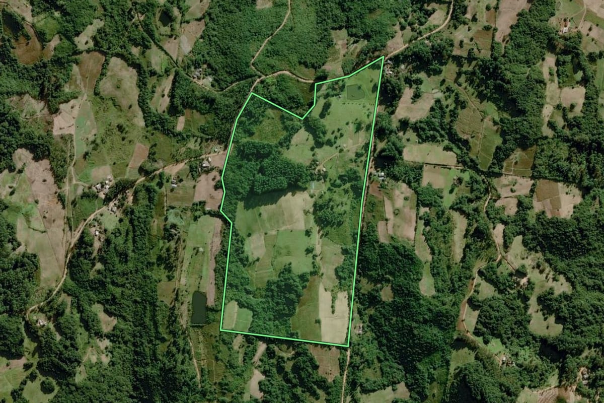 Imagem de satélite do imóvel rural em Dom Feliciano (RS), com o contorno declarado no CAR desenhado por cima.