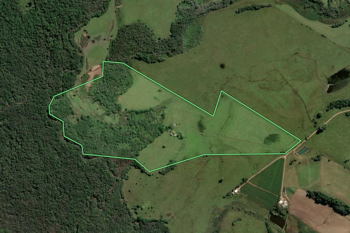 Imagem de satélite do imóvel rural em Dom Feliciano (RS), com o contorno declarado no CAR desenhado por cima.