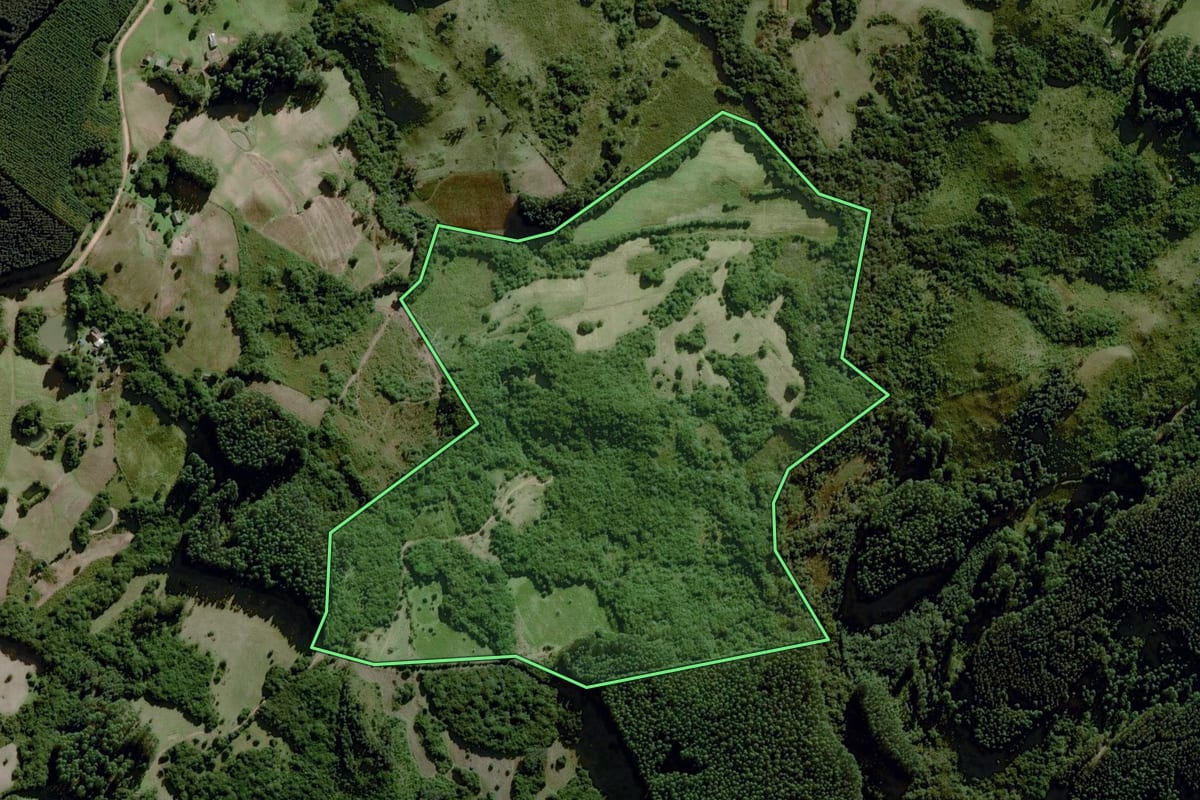 Imagem de satélite do imóvel rural em Dom Feliciano (RS), com o contorno declarado no CAR desenhado por cima.