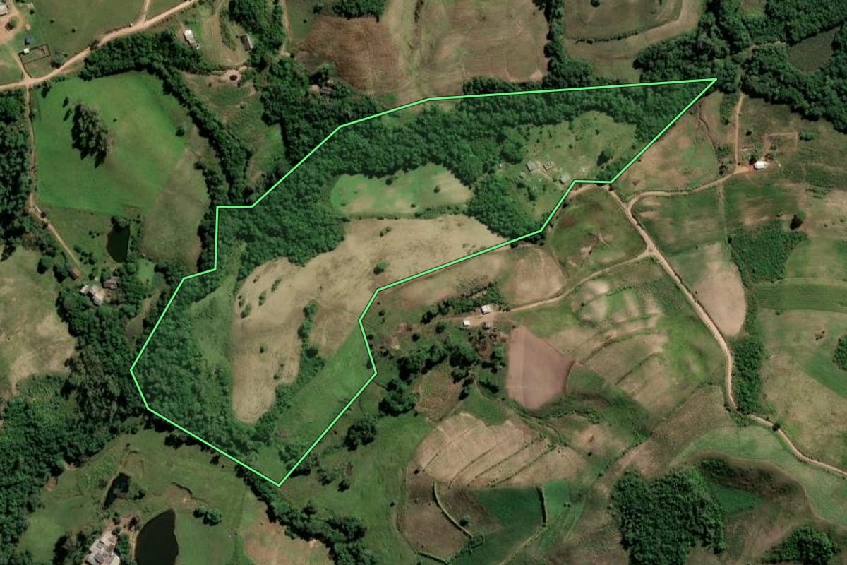 Imagem de satélite do imóvel rural em Dom Feliciano (RS), com o contorno declarado no CAR desenhado por cima.