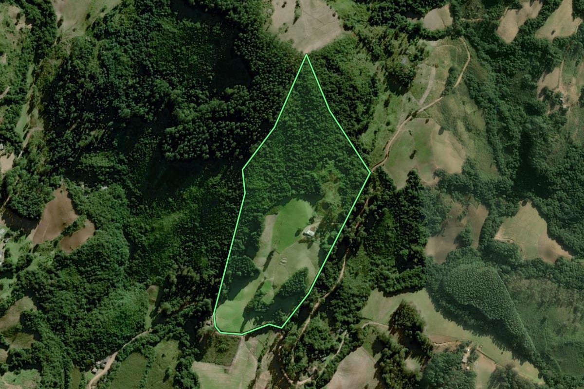 Imagem de satélite do imóvel rural em Dom Feliciano (RS), com o contorno declarado no CAR desenhado por cima.