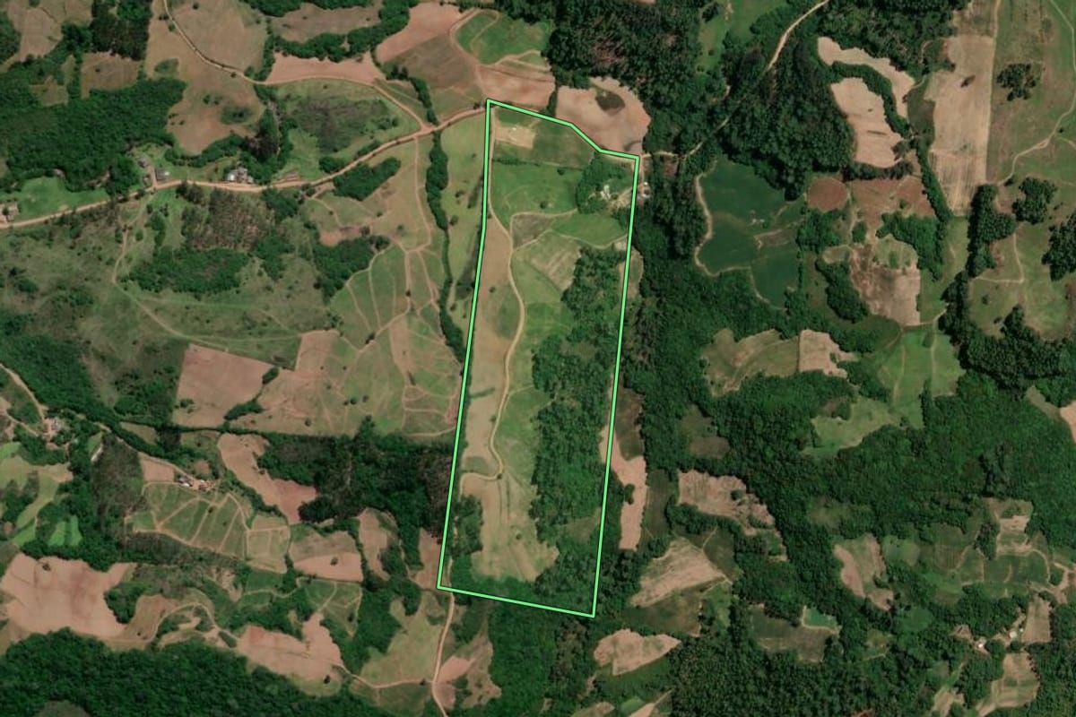 Imagem de satélite do imóvel rural em Dom Feliciano (RS), com o contorno declarado no CAR desenhado por cima.