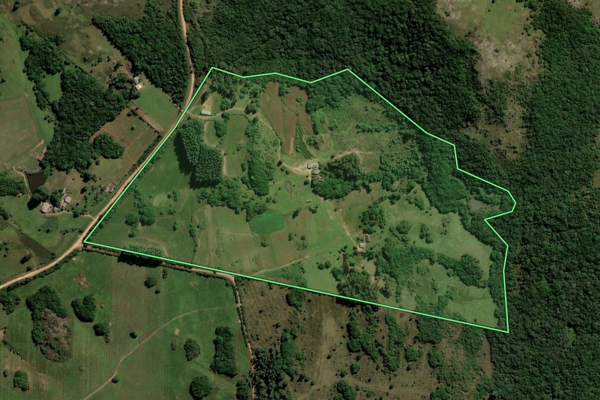 Imagem de satélite do imóvel rural em Dom Feliciano (RS), com o contorno declarado no CAR desenhado por cima.
