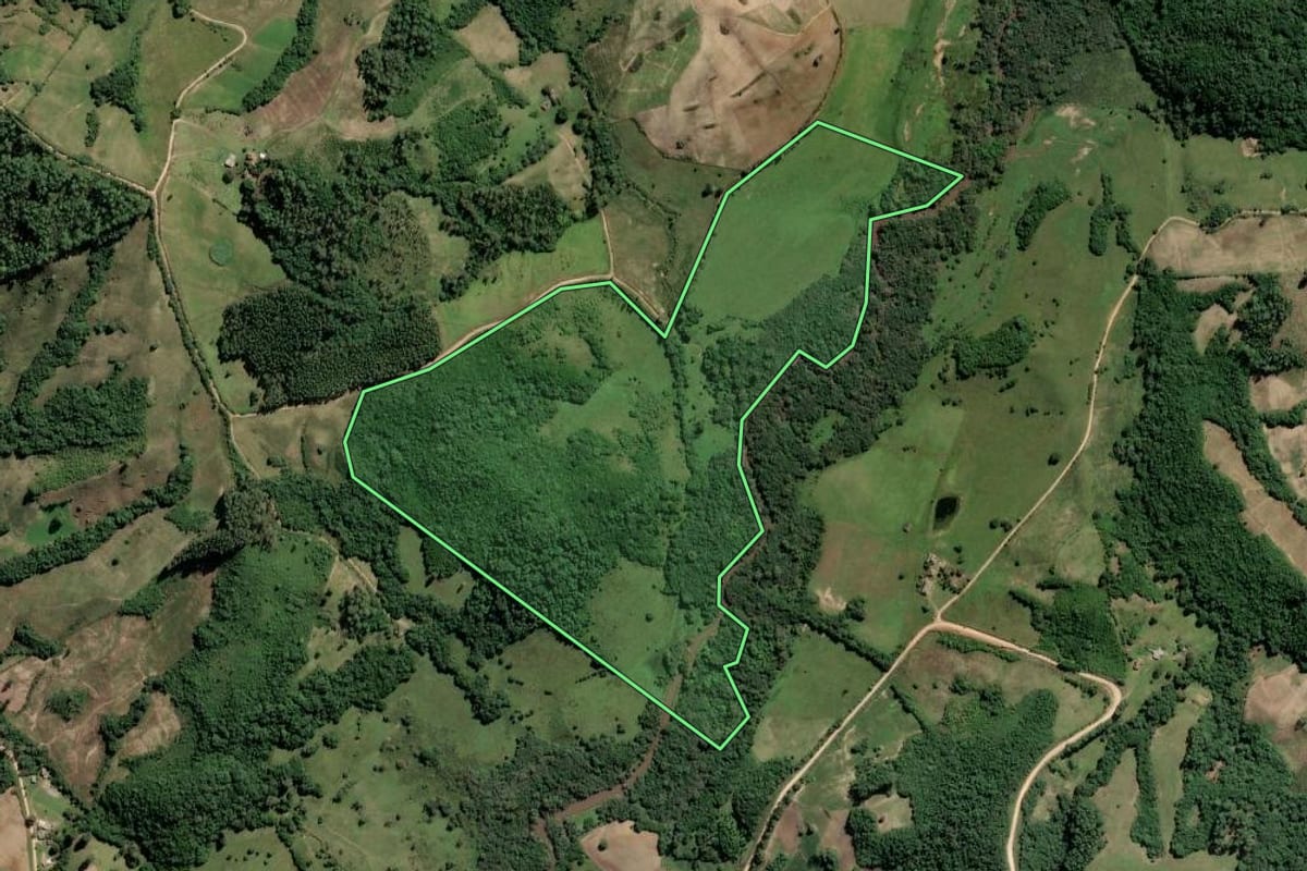 Imagem de satélite do imóvel rural em Dom Feliciano (RS), com o contorno declarado no CAR desenhado por cima.