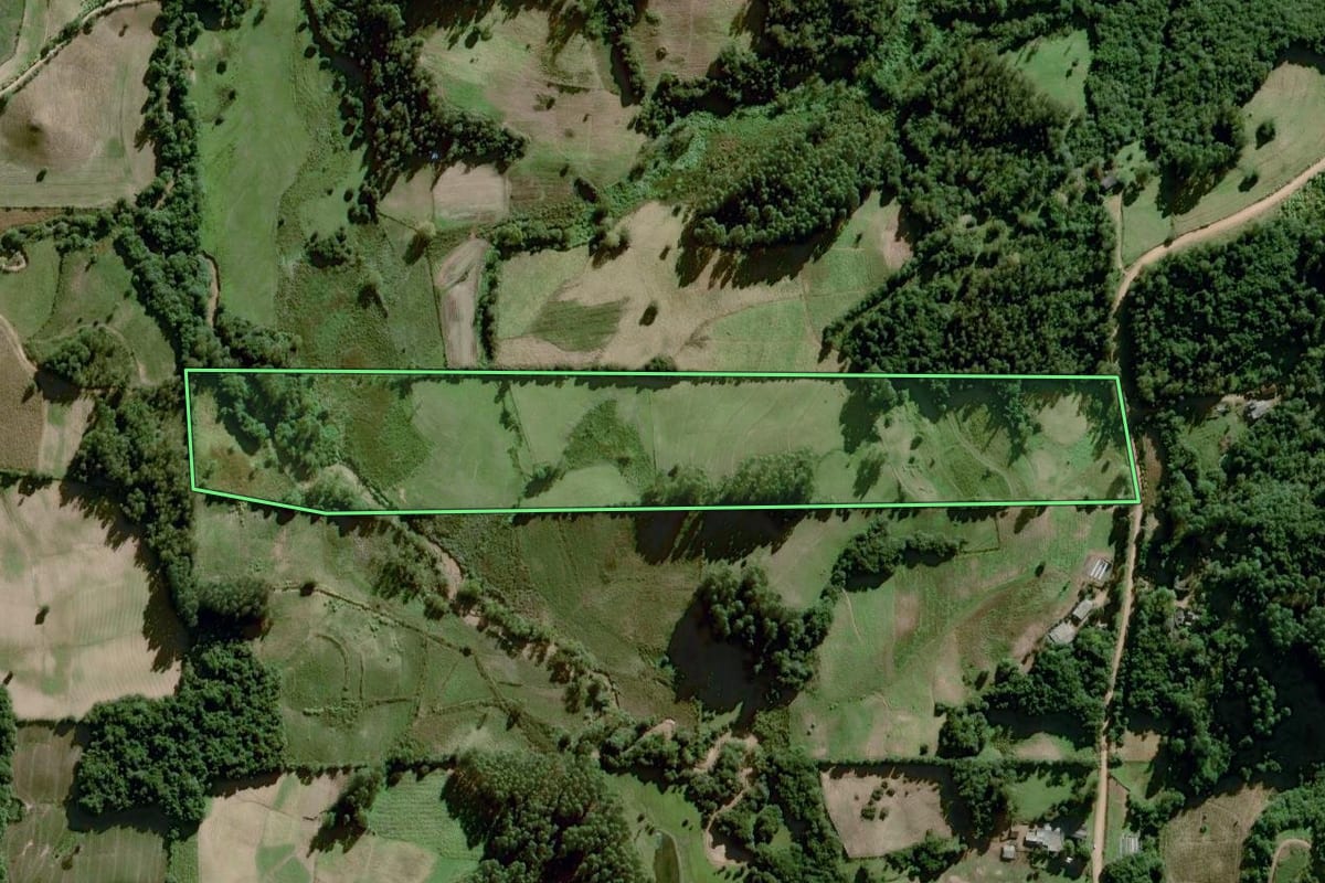 Imagem de satélite do imóvel rural em Dom Feliciano (RS), com o contorno declarado no CAR desenhado por cima.