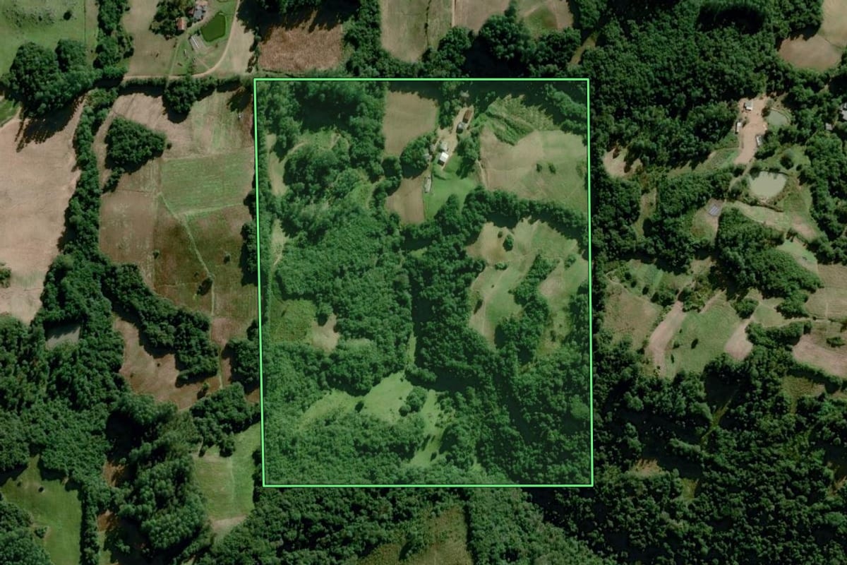 Imagem de satélite do imóvel rural em Dom Feliciano (RS), com o contorno declarado no CAR desenhado por cima.