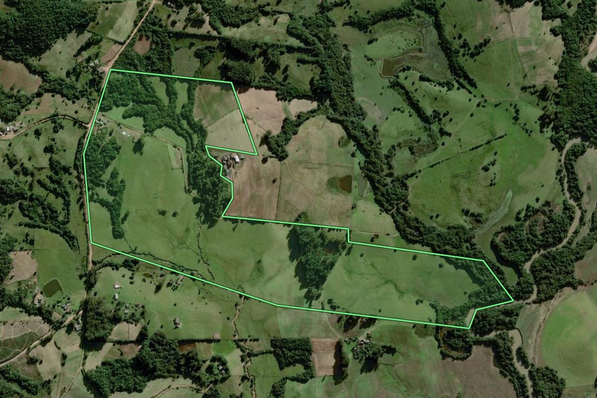 Imagem de satélite do imóvel rural em Dom Feliciano (RS), com o contorno declarado no CAR desenhado por cima.