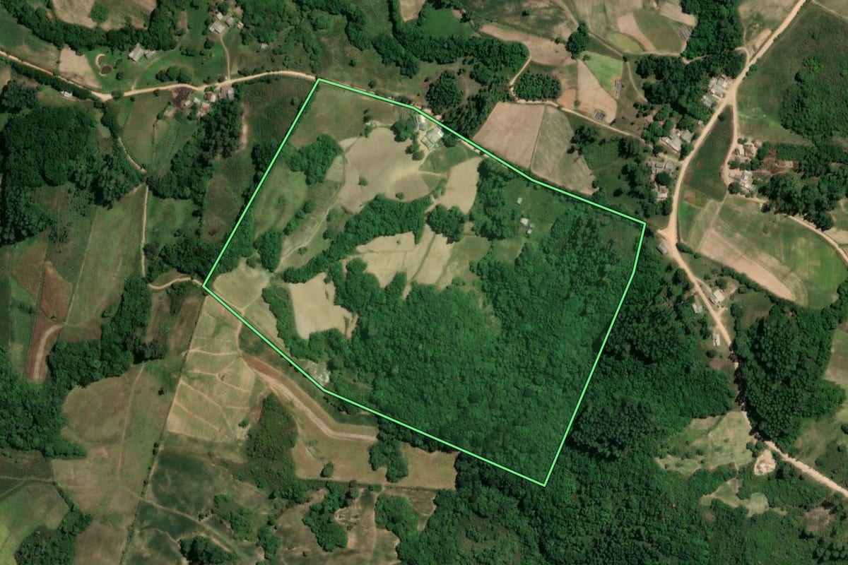 Imagem de satélite do imóvel rural em Dom Feliciano (RS), com o contorno declarado no CAR desenhado por cima.
