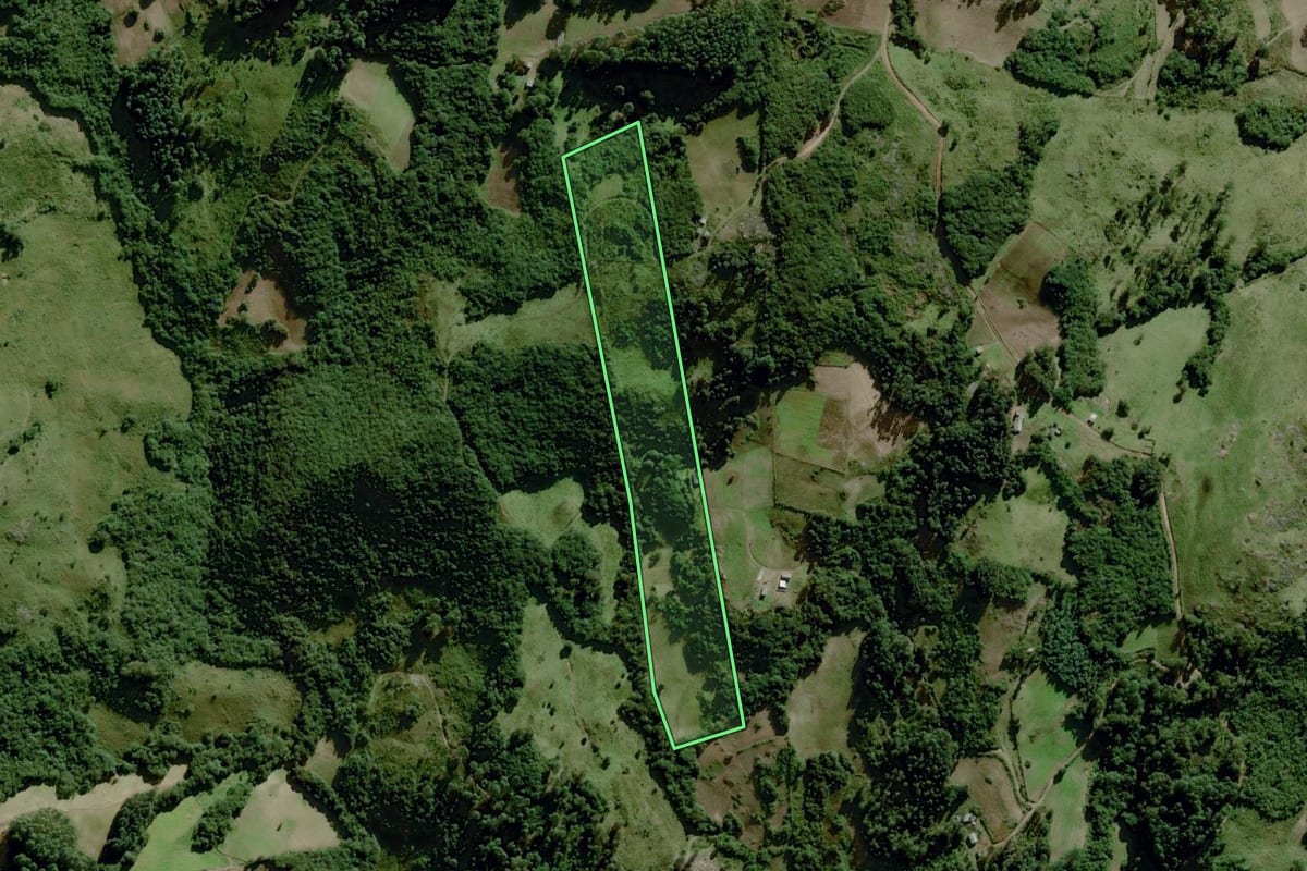 Imagem de satélite do imóvel rural em Dom Feliciano (RS), com o contorno declarado no CAR desenhado por cima.