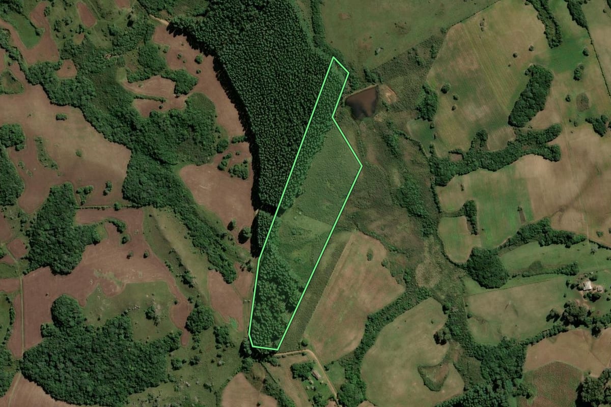 Imagem de satélite do imóvel rural em Dom Feliciano (RS), com o contorno declarado no CAR desenhado por cima.