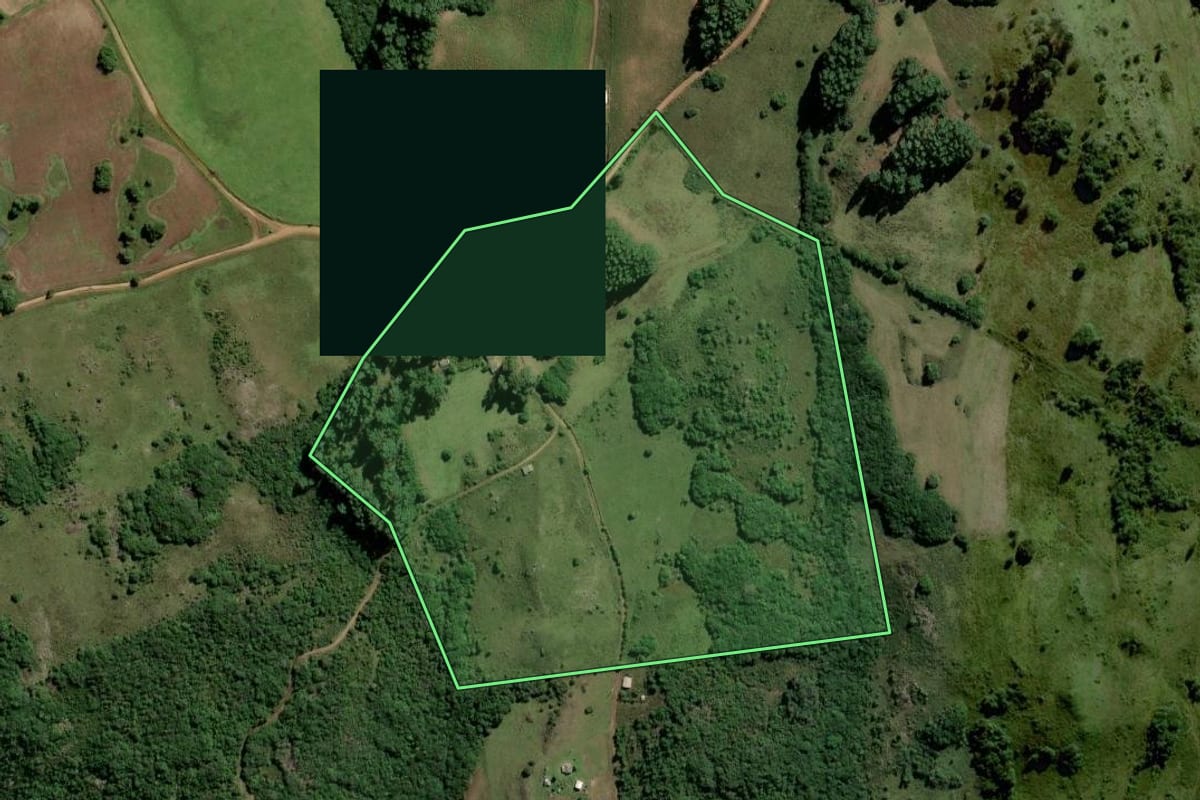 Imagem de satélite do imóvel rural em Dom Feliciano (RS), com o contorno declarado no CAR desenhado por cima.
