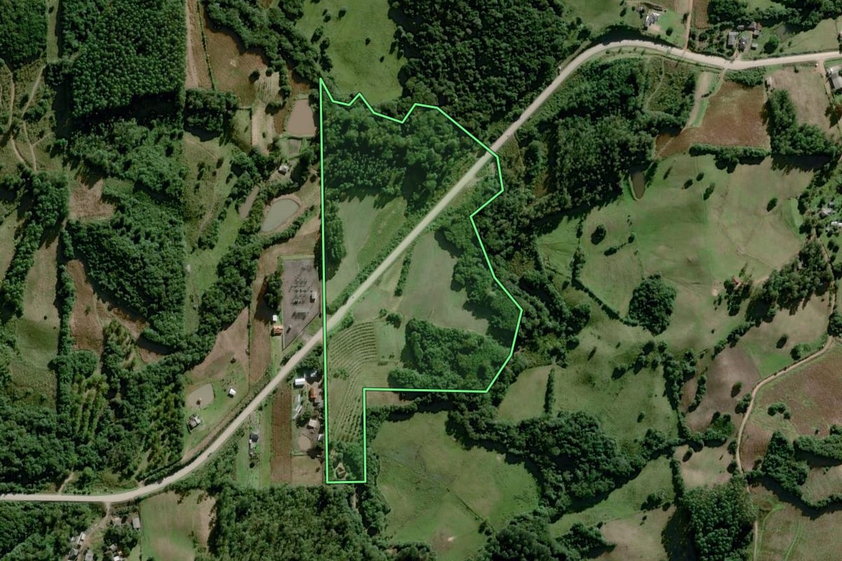 Imagem de satélite do imóvel rural em Dom Feliciano (RS), com o contorno declarado no CAR desenhado por cima.