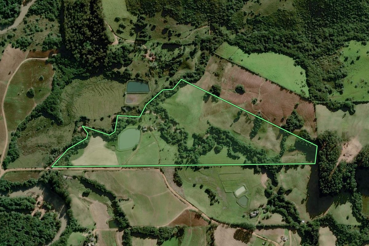 Imagem de satélite do imóvel rural em Dom Feliciano (RS), com o contorno declarado no CAR desenhado por cima.