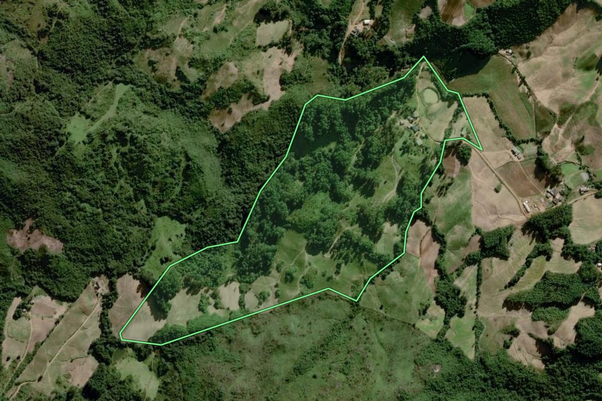 Imagem de satélite do imóvel rural em Dom Feliciano (RS), com o contorno declarado no CAR desenhado por cima.