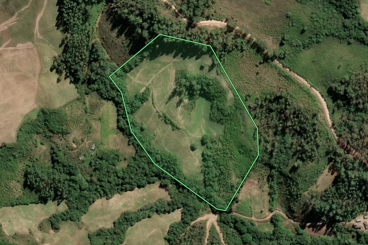 Imagem de satélite do imóvel rural em Dom Feliciano (RS), com o contorno declarado no CAR desenhado por cima.