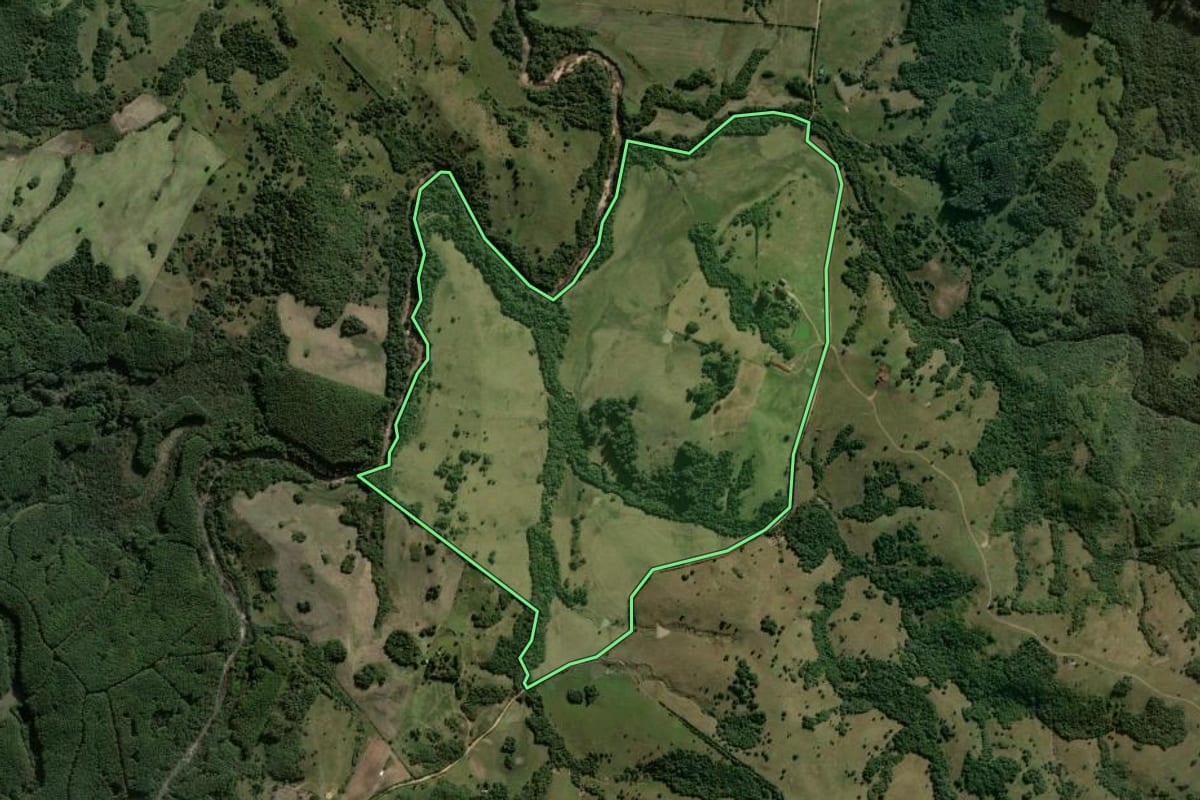 Imagem de satélite do imóvel rural em Dom Feliciano (RS), com o contorno declarado no CAR desenhado por cima.