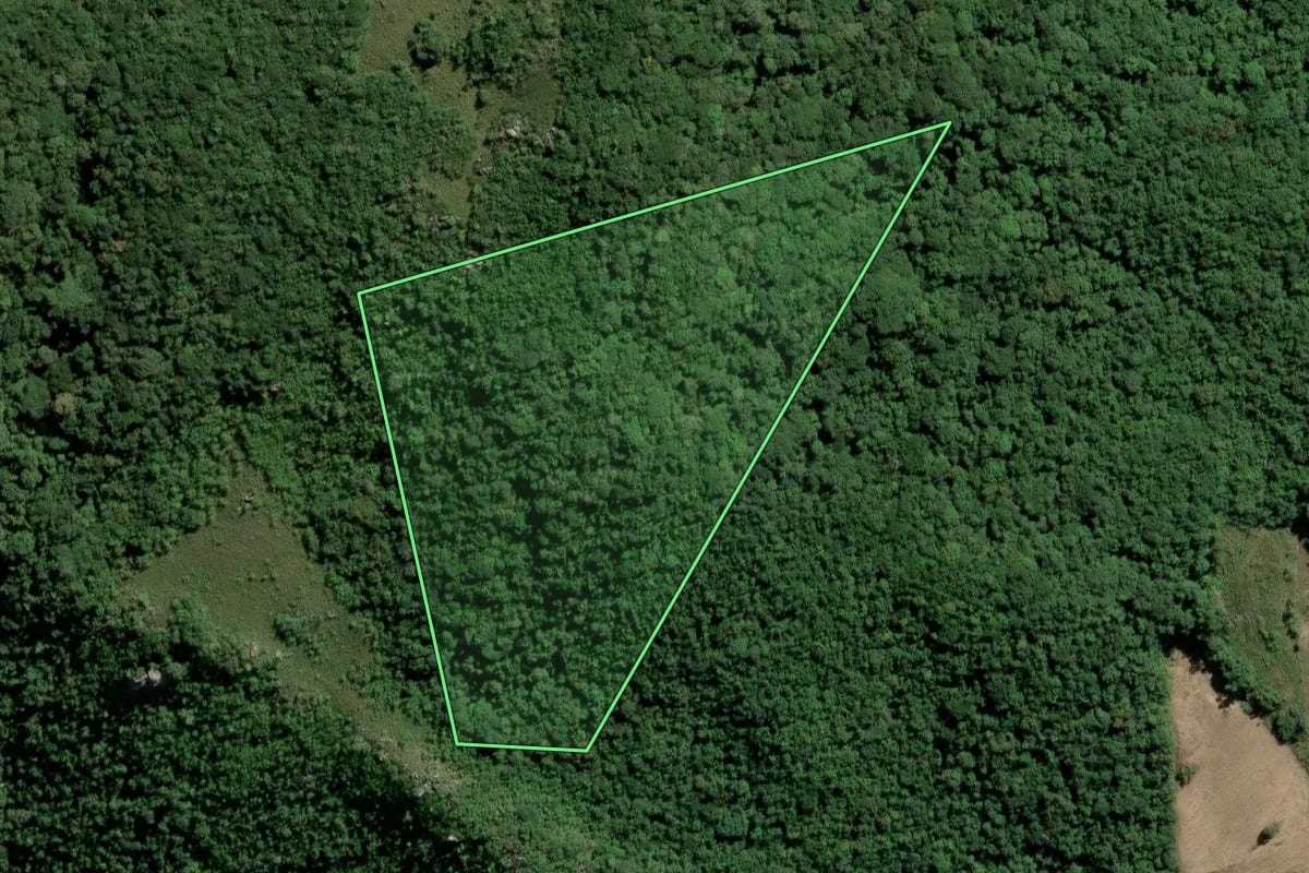 Imagem de satélite do imóvel rural em Dom Feliciano (RS), com o contorno declarado no CAR desenhado por cima.