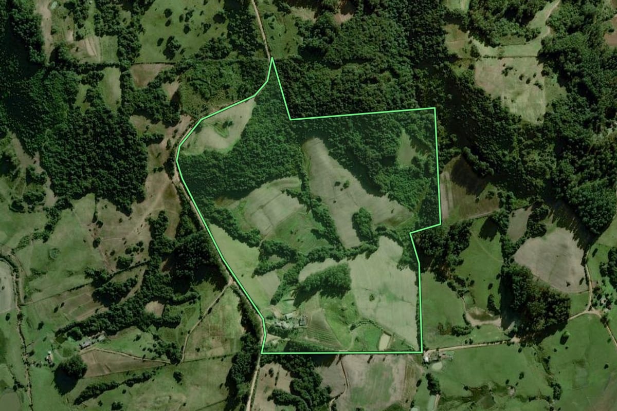 Imagem de satélite do imóvel rural em Dom Feliciano (RS), com o contorno declarado no CAR desenhado por cima.