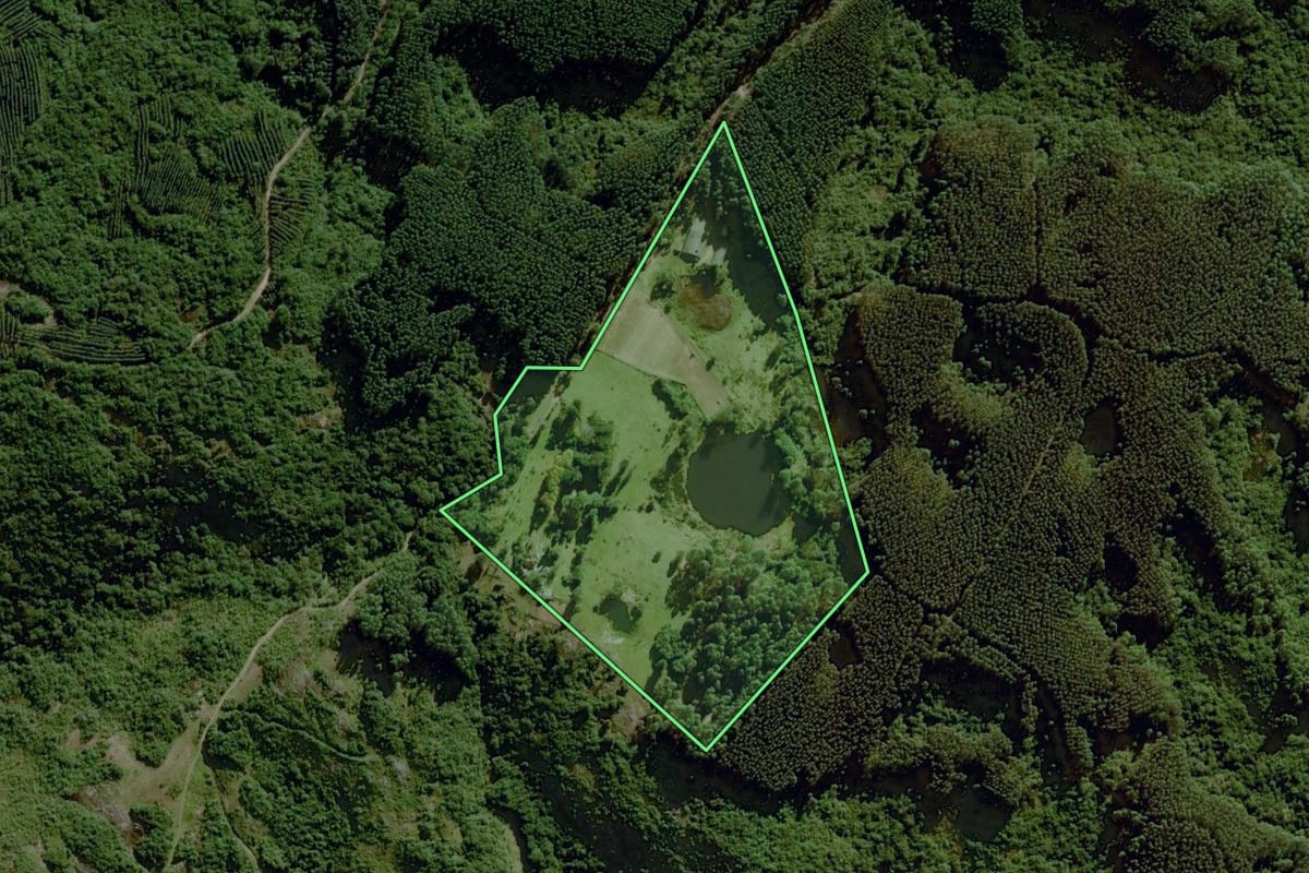 Imagem de satélite do imóvel rural em Dom Feliciano (RS), com o contorno declarado no CAR desenhado por cima.