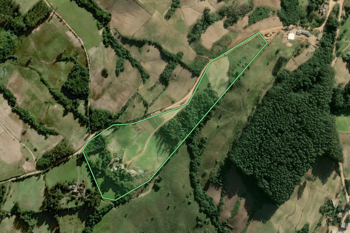 Imagem de satélite do imóvel rural em Dom Feliciano (RS), com o contorno declarado no CAR desenhado por cima.