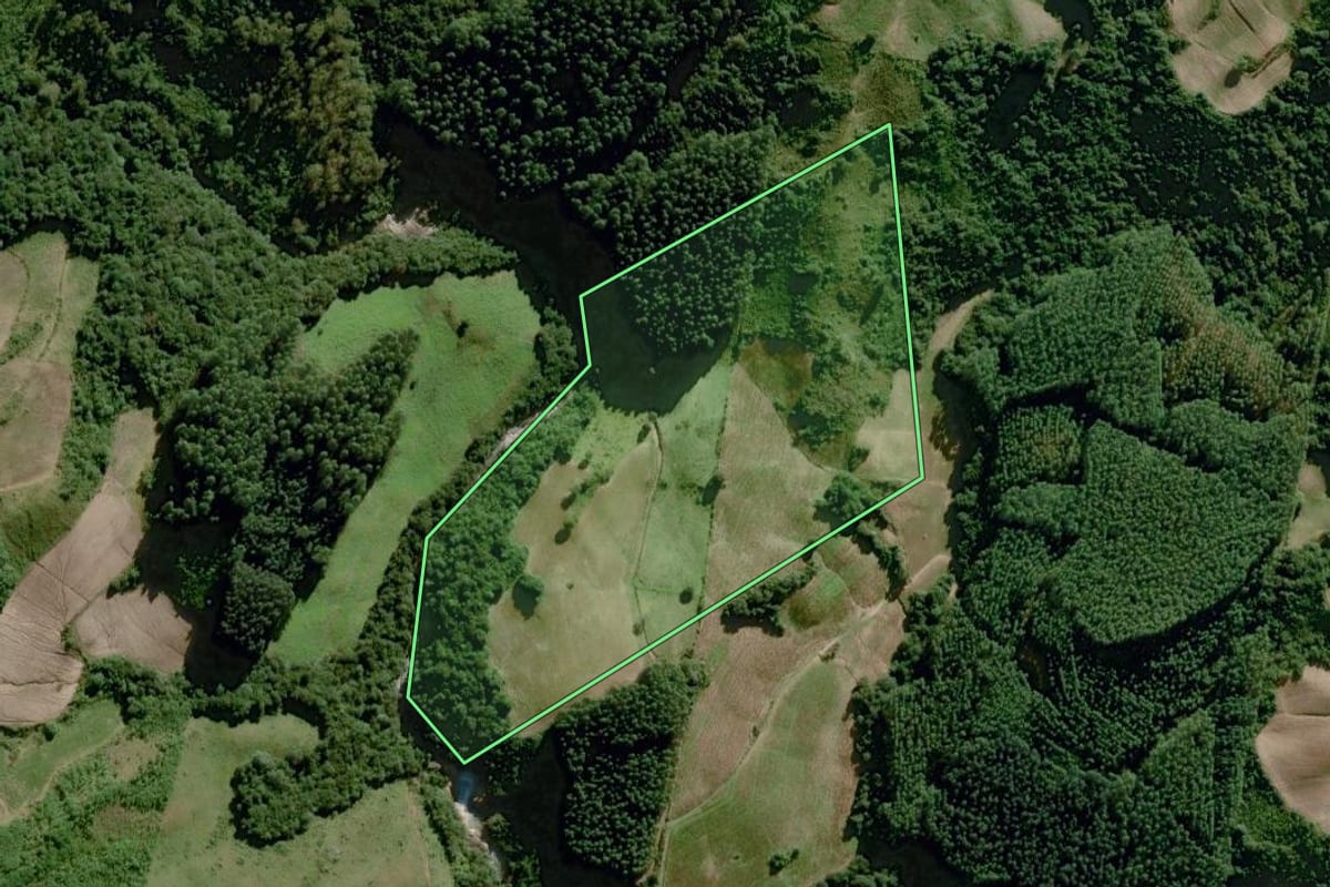 Imagem de satélite do imóvel rural em Dom Feliciano (RS), com o contorno declarado no CAR desenhado por cima.