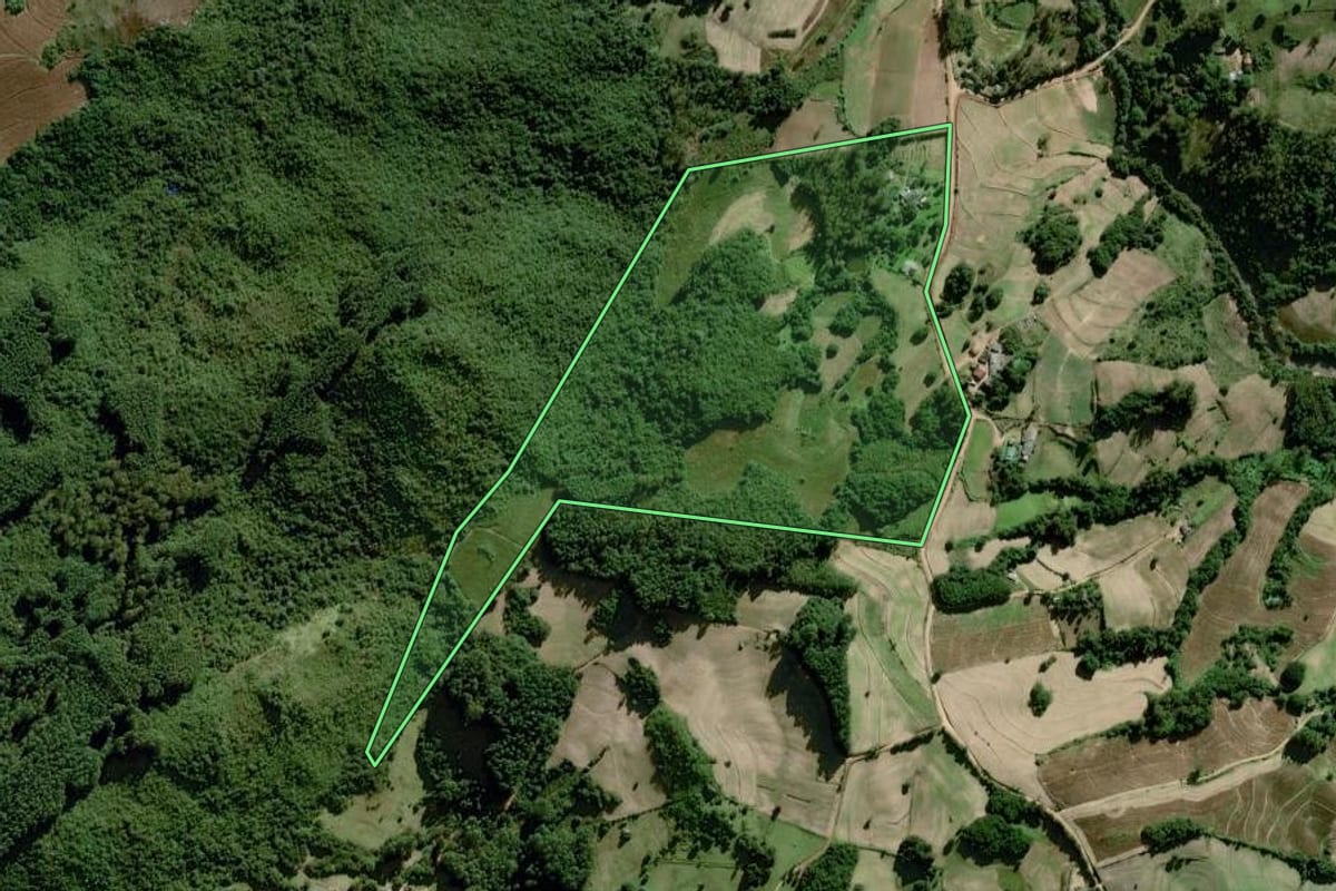 Imagem de satélite do imóvel rural em Dom Feliciano (RS), com o contorno declarado no CAR desenhado por cima.