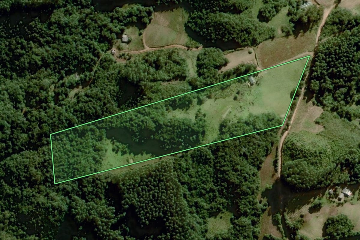 Imagem de satélite do imóvel rural em Dom Feliciano (RS), com o contorno declarado no CAR desenhado por cima.