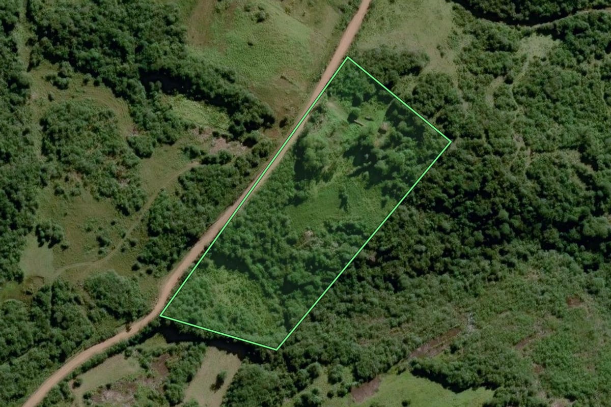 Imagem de satélite do imóvel rural em Dom Feliciano (RS), com o contorno declarado no CAR desenhado por cima.
