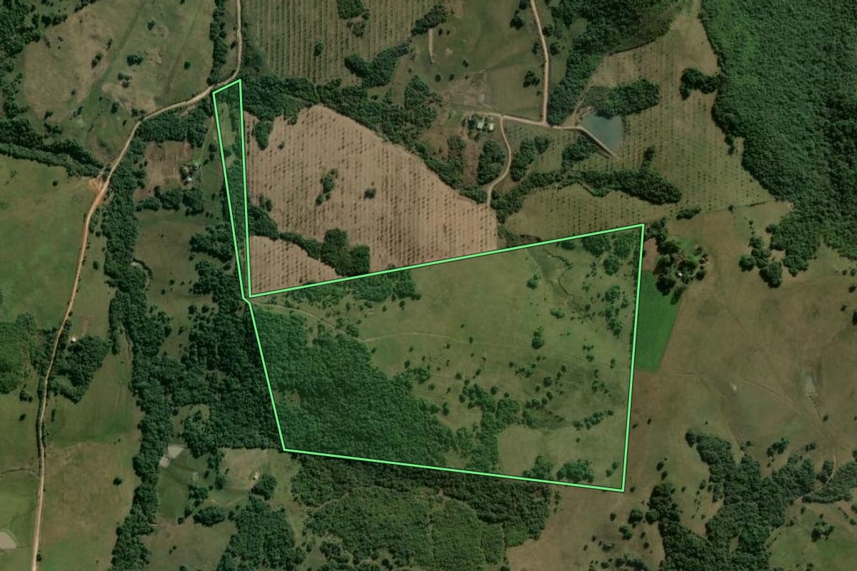 Imagem de satélite do imóvel rural em Dom Feliciano (RS), com o contorno declarado no CAR desenhado por cima.