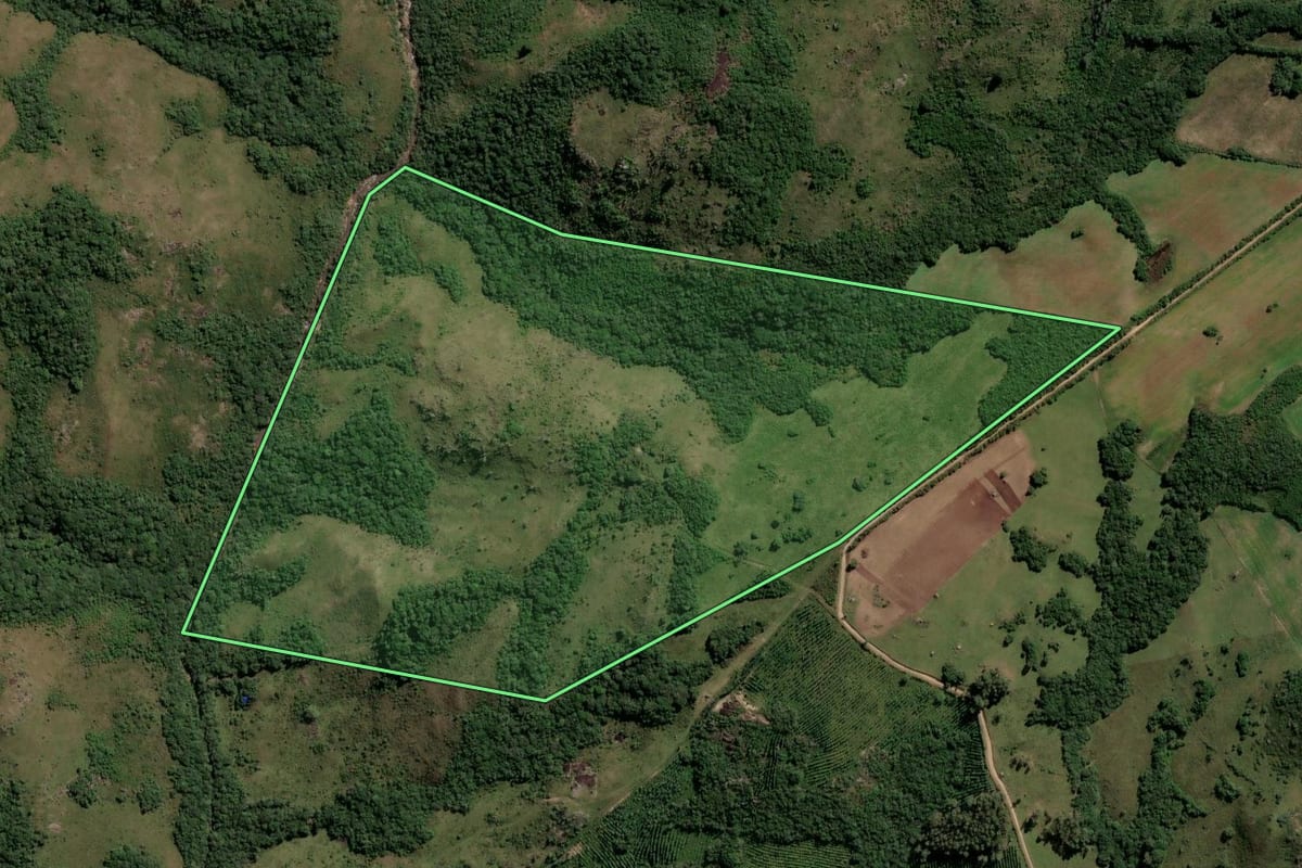 Imagem de satélite do imóvel rural em Dom Feliciano (RS), com o contorno declarado no CAR desenhado por cima.