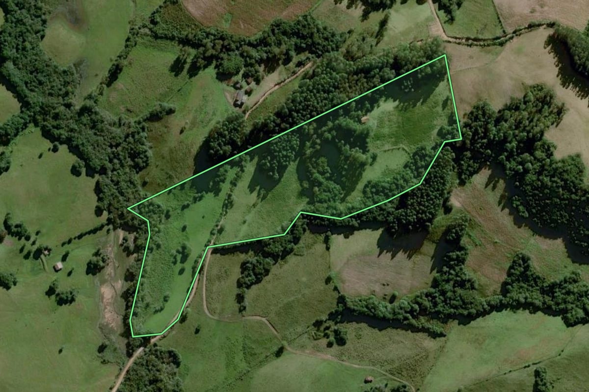 Imagem de satélite do imóvel rural em Dom Feliciano (RS), com o contorno declarado no CAR desenhado por cima.