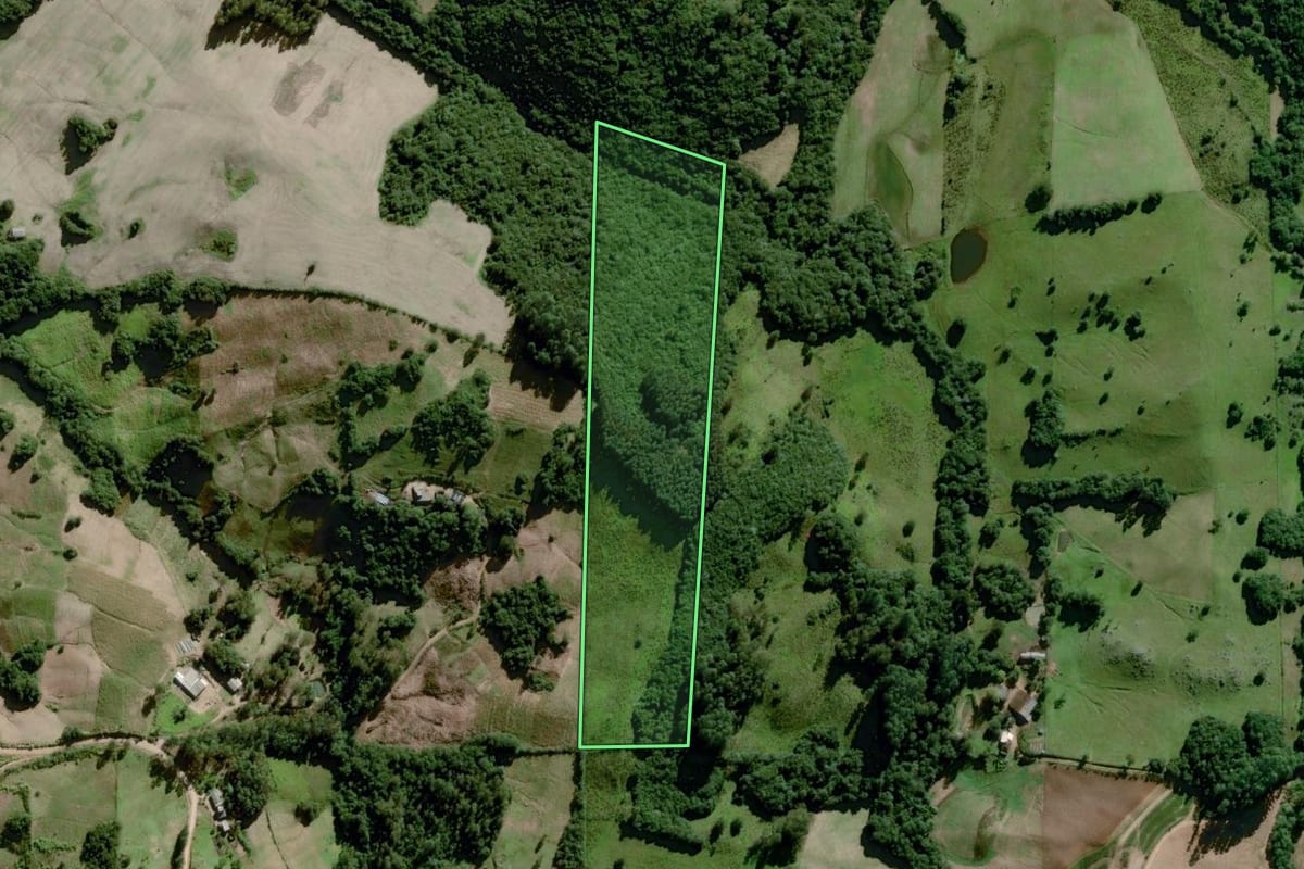 Imagem de satélite do imóvel rural em Dom Feliciano (RS), com o contorno declarado no CAR desenhado por cima.