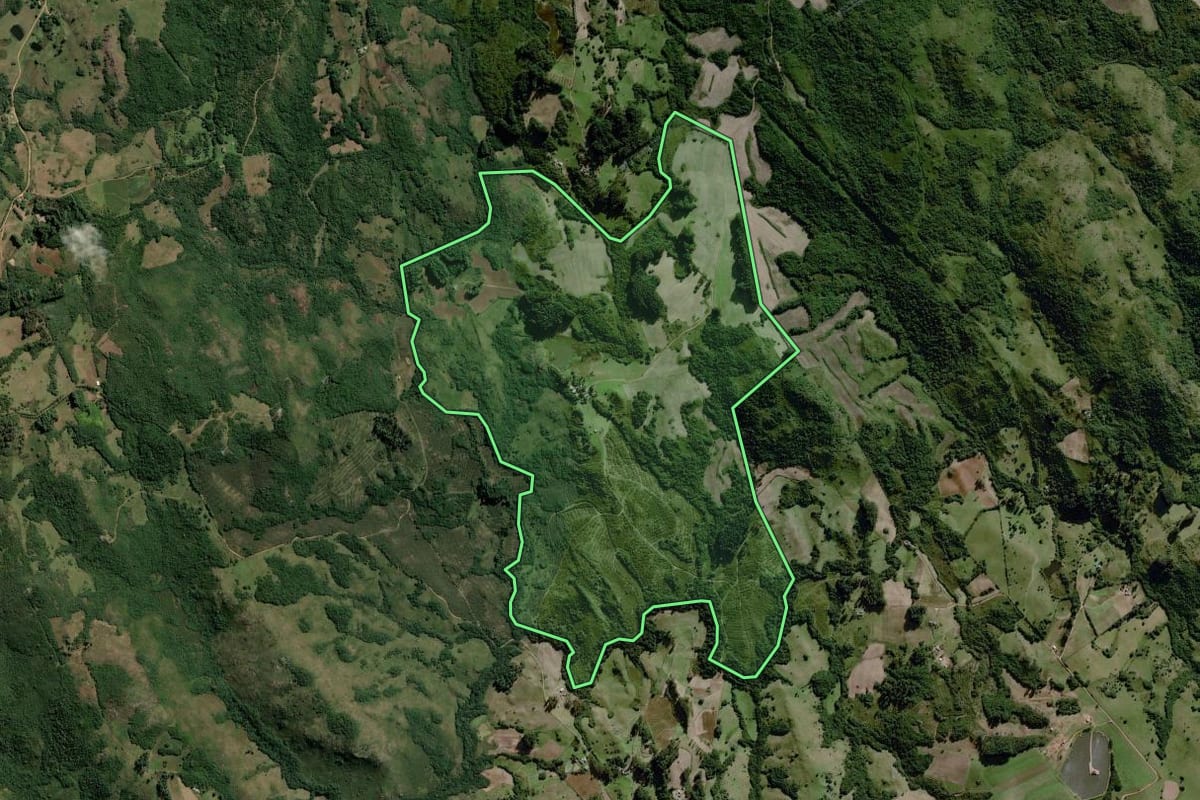Imagem de satélite do imóvel rural em Dom Feliciano (RS), com o contorno declarado no CAR desenhado por cima.